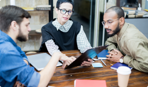 Investor Confidence in Equity Crowdfunding